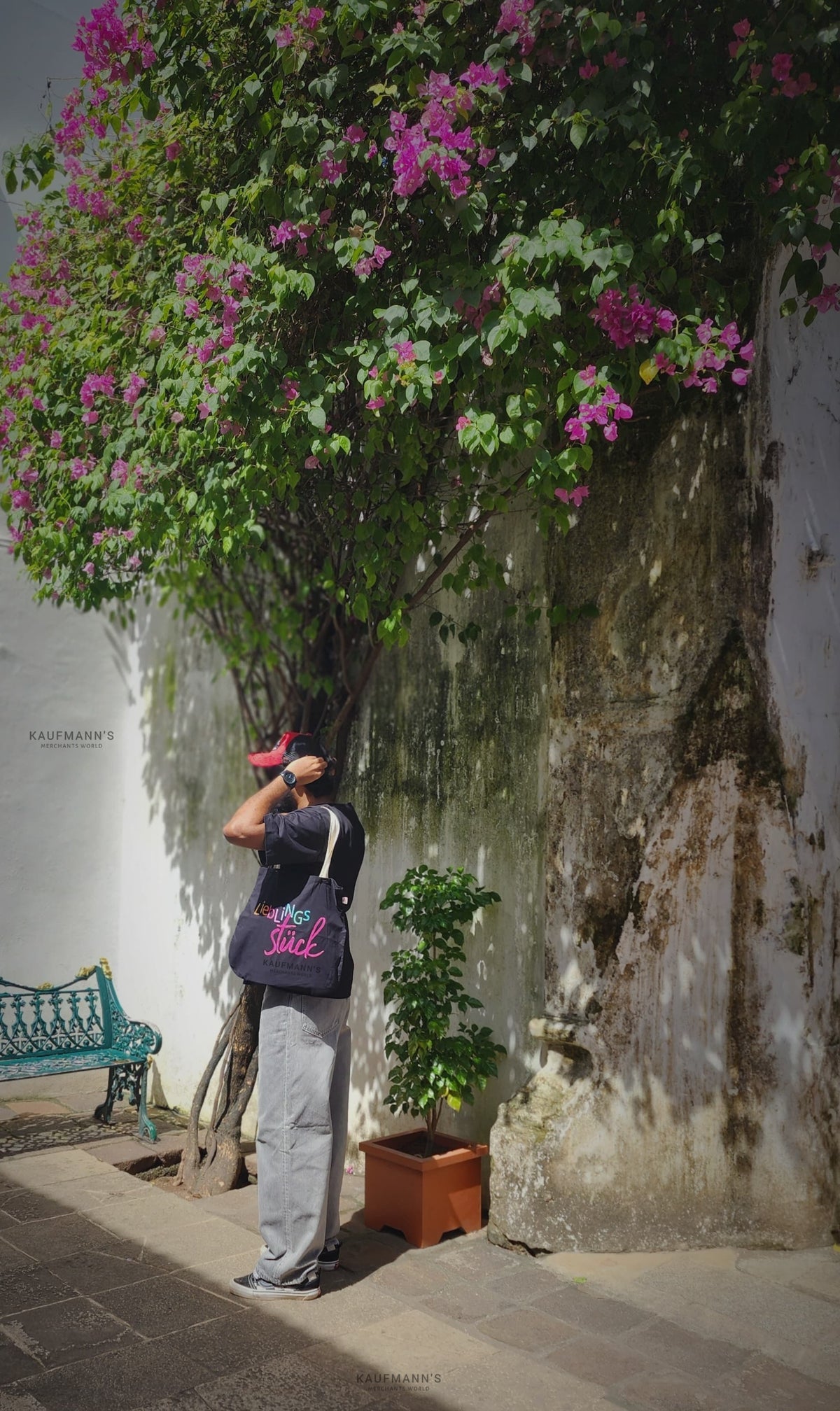 A person standing on the sidewalk next to a large pink flower tree, taking a picture of the flowers with a cell phone.